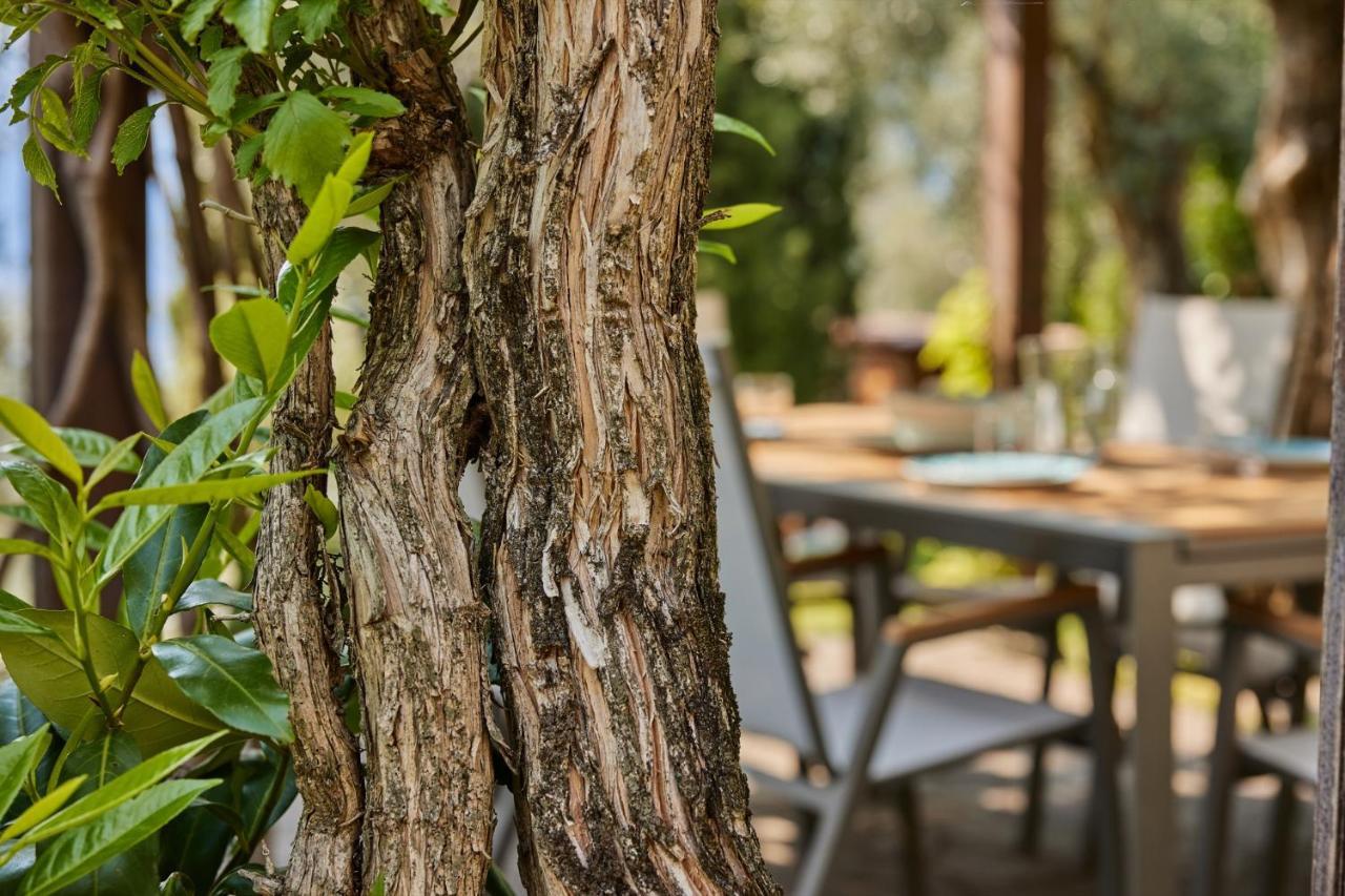 Villa Paier Relais & Pool 말세진느 외부 사진